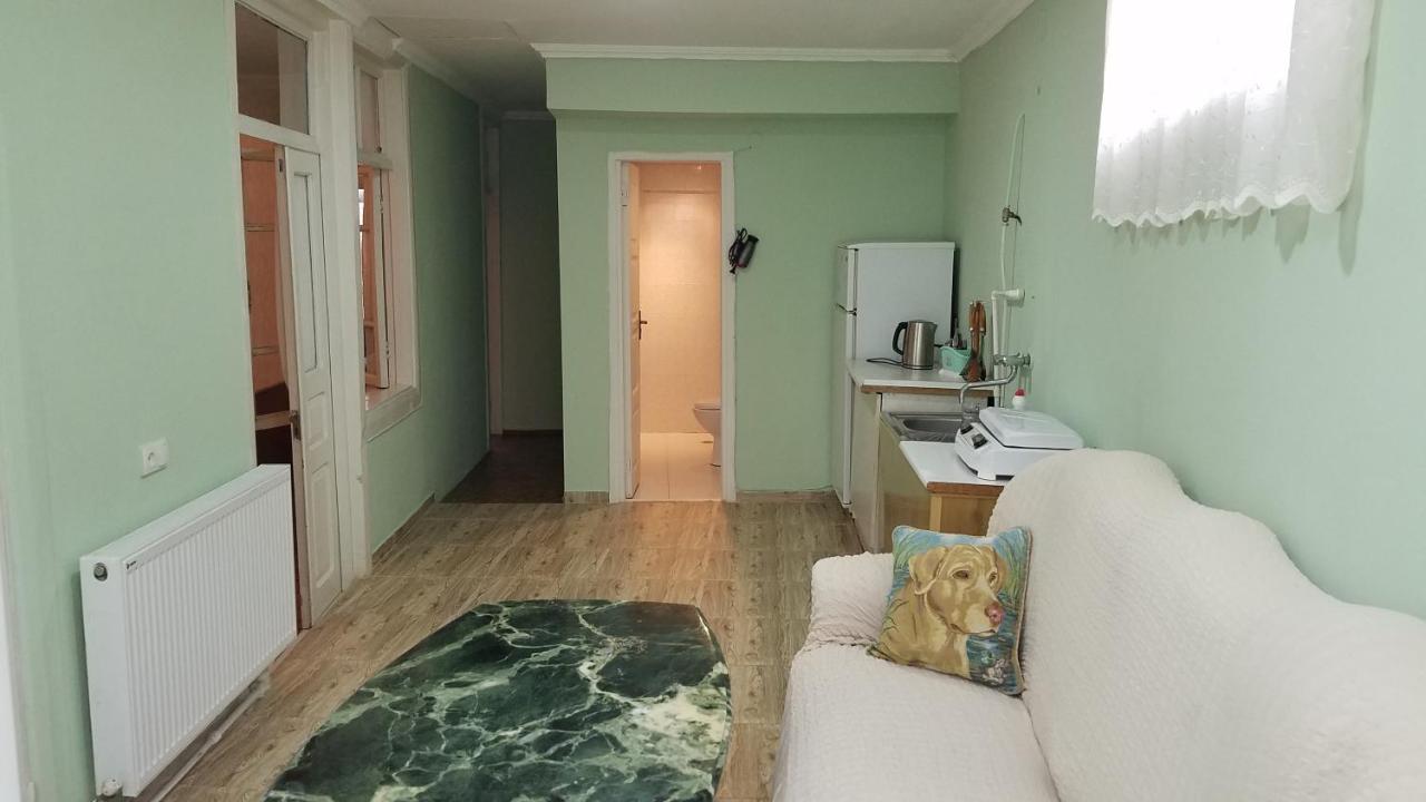 Гостевой дом Green Rose Боржоми Экстерьер фото
